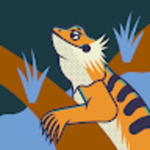 Meet your Posher, Lainey